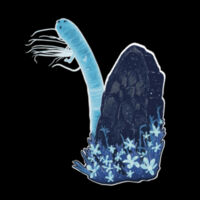 Elden Ring, Spirit Noodle (Thread Project Tee) Design